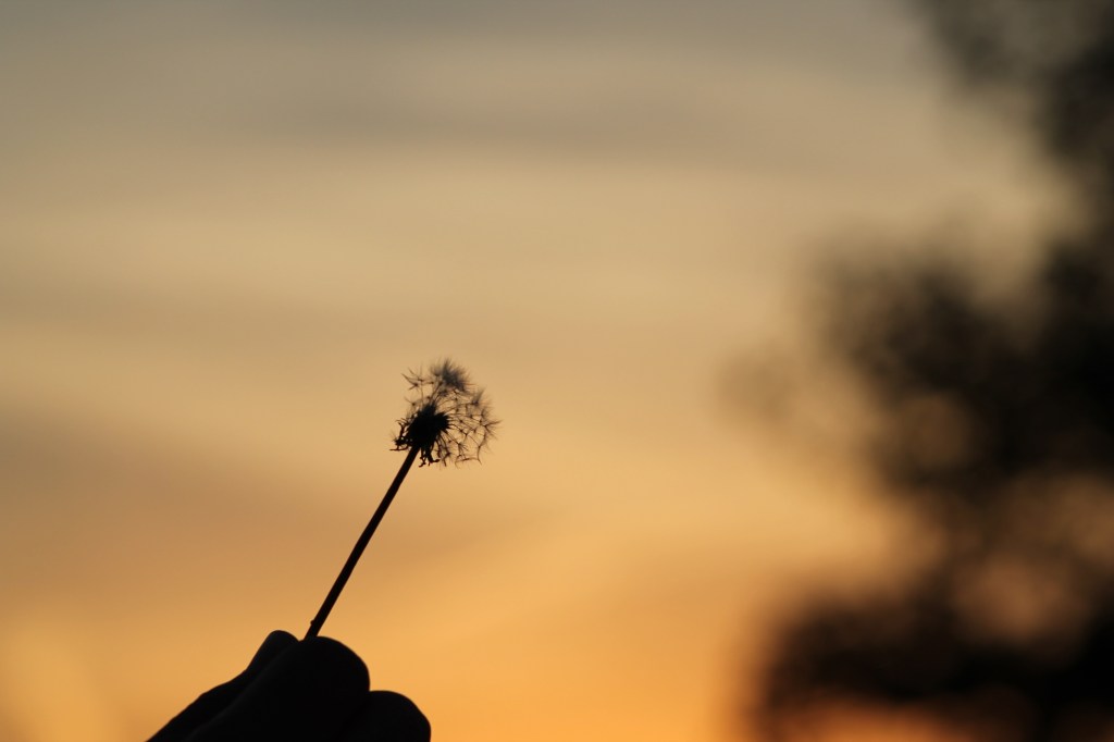 Photo by Margibel Rodriguez,&nbsp;’16