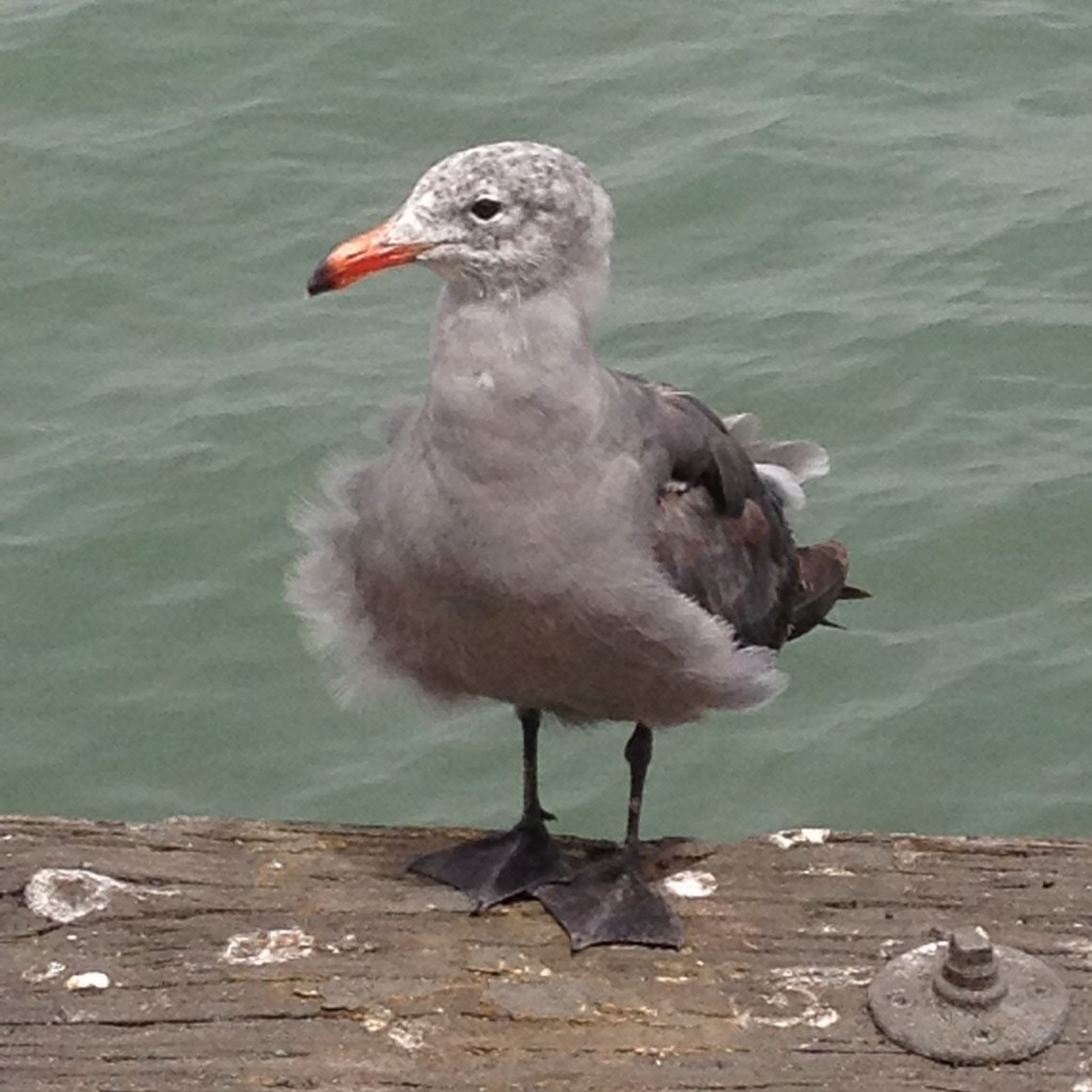 Meta Metaphors, Smiling Similes by Garrett&nbsp;Forbes