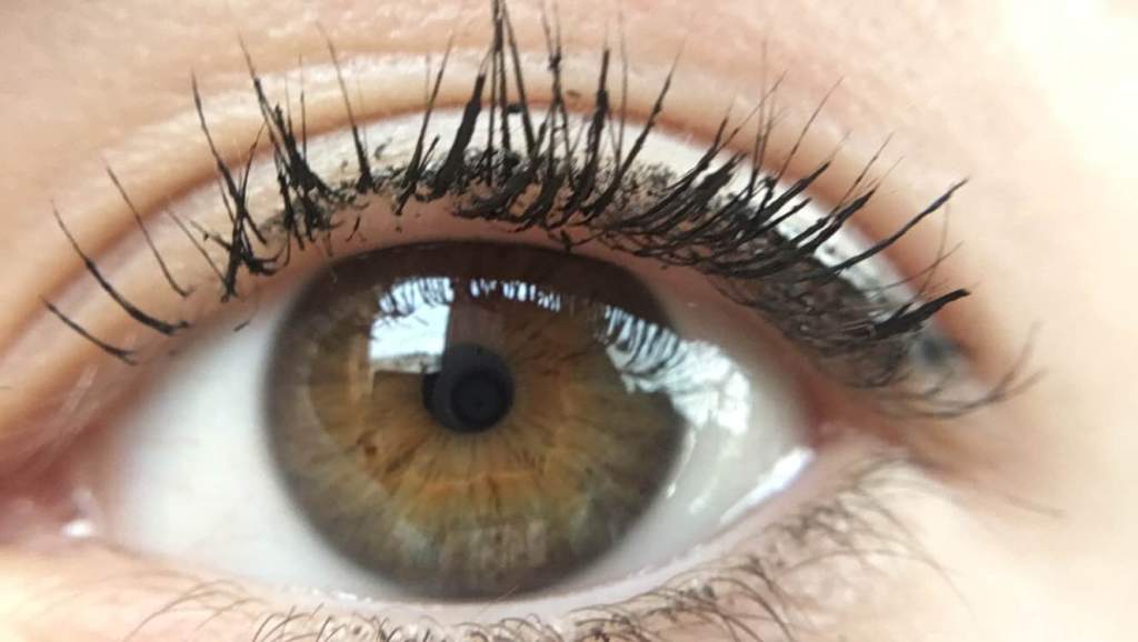 Fourth Grade was Cold by Rachel&nbsp;Thorpe